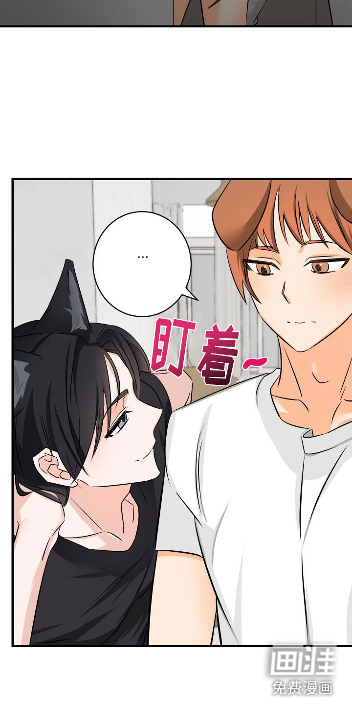 第6话7