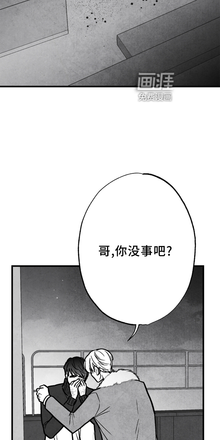 第133话8