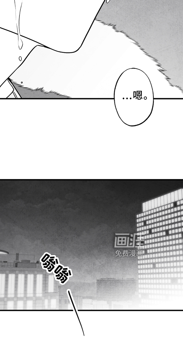 第120话14