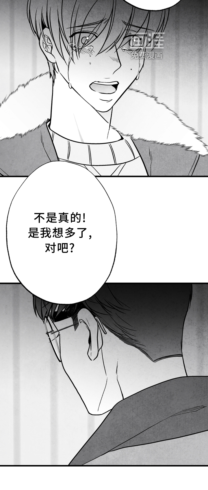 第117话12
