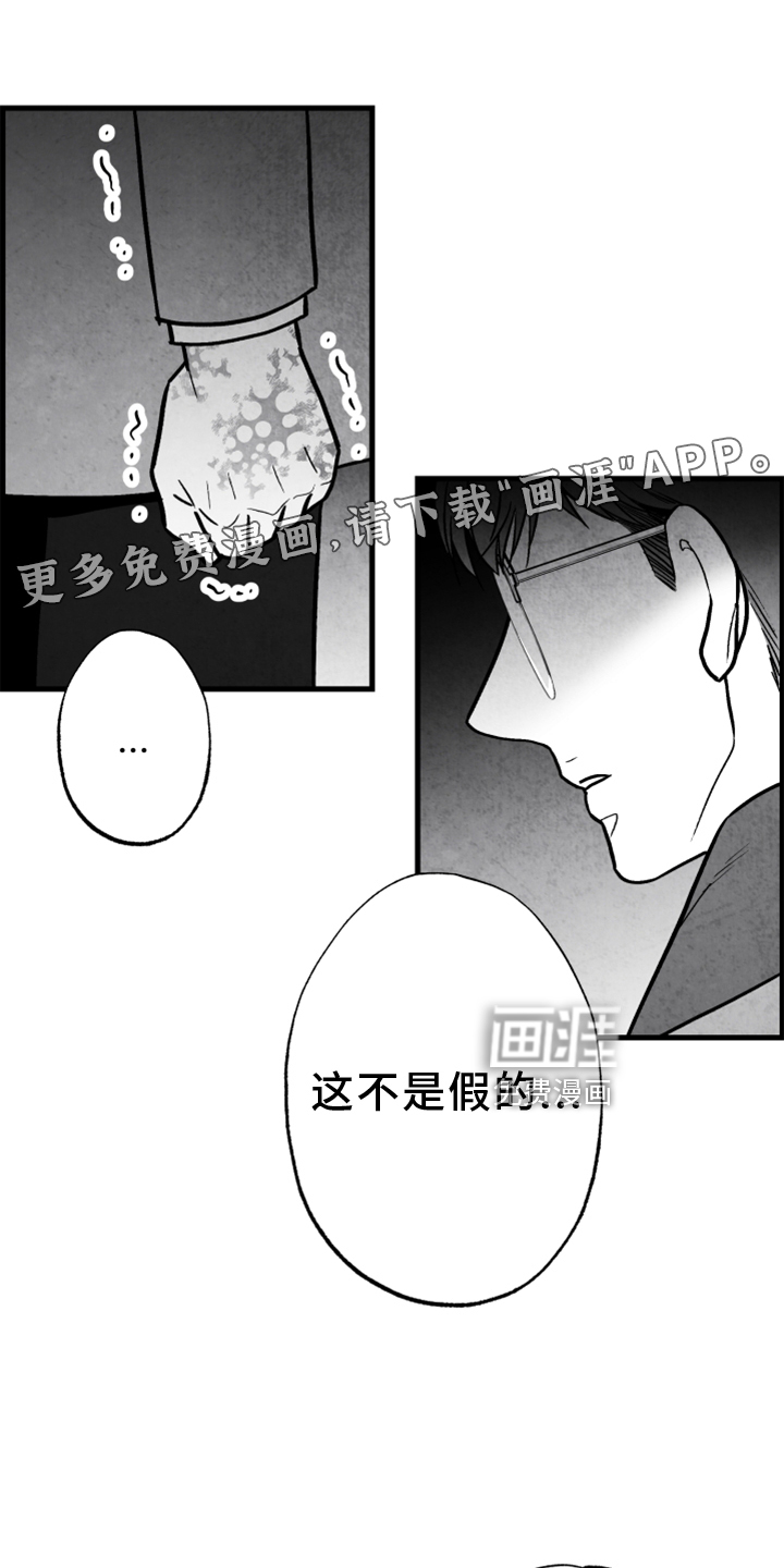第117话13