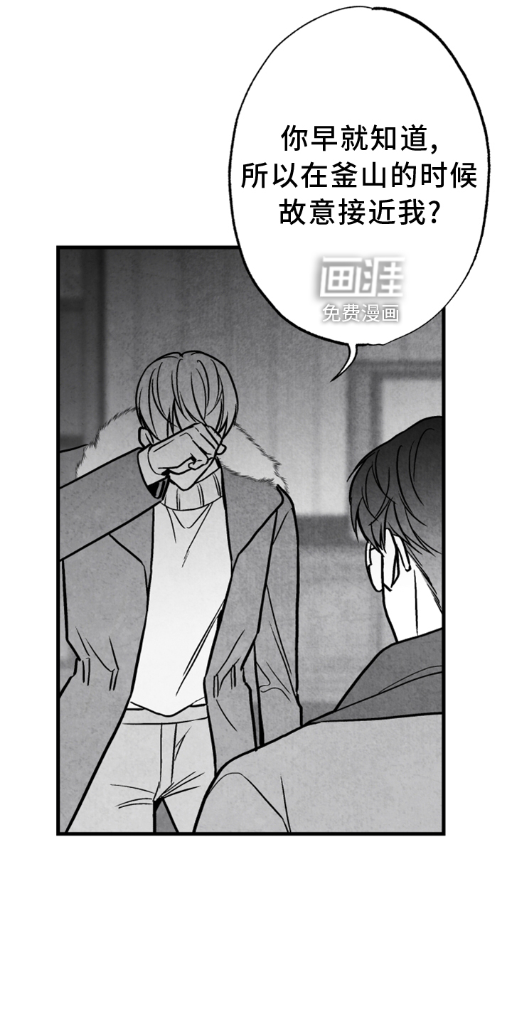 第117话18