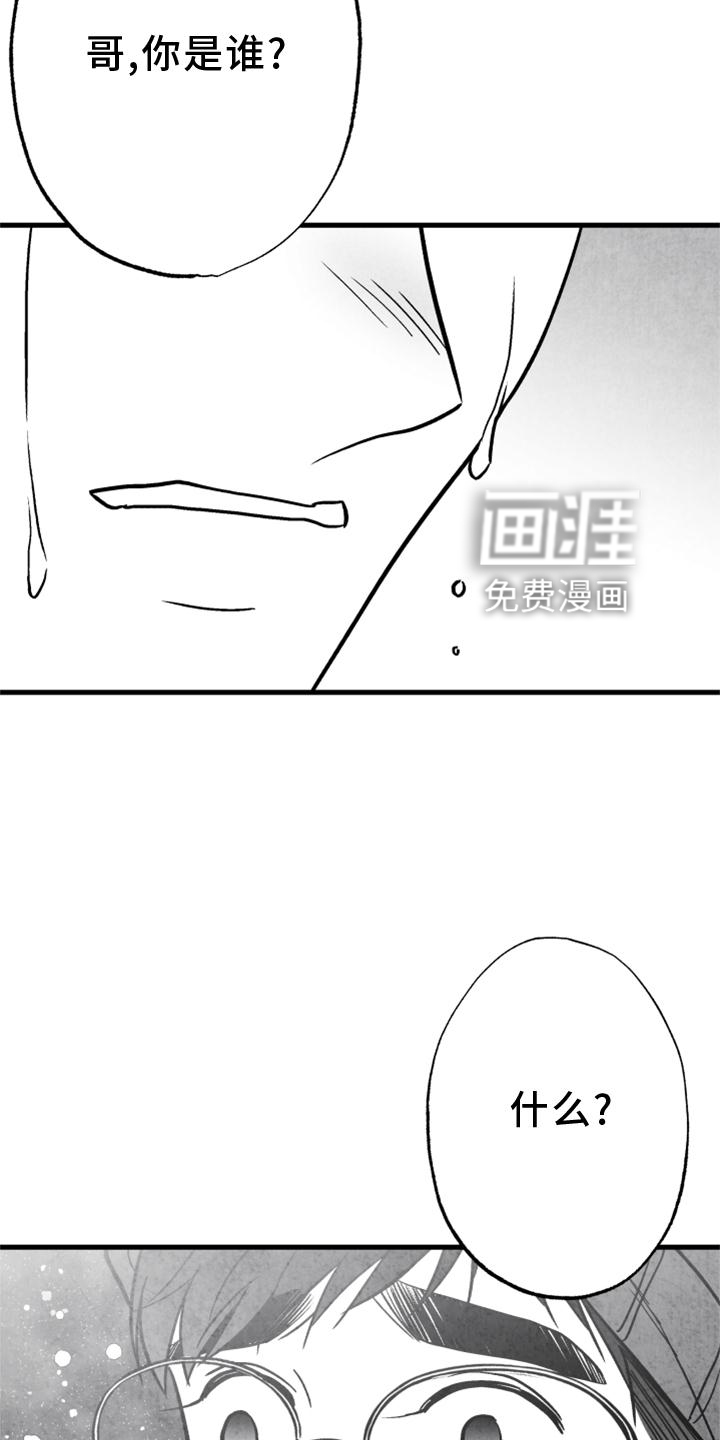 第116话23
