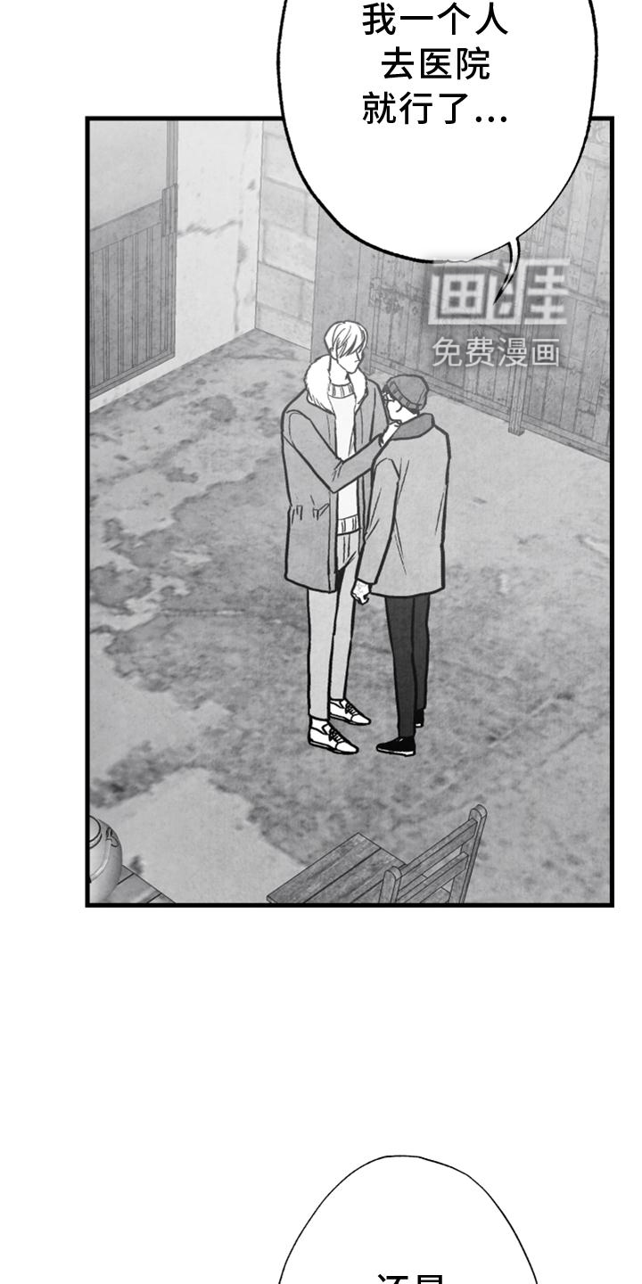 第115话11