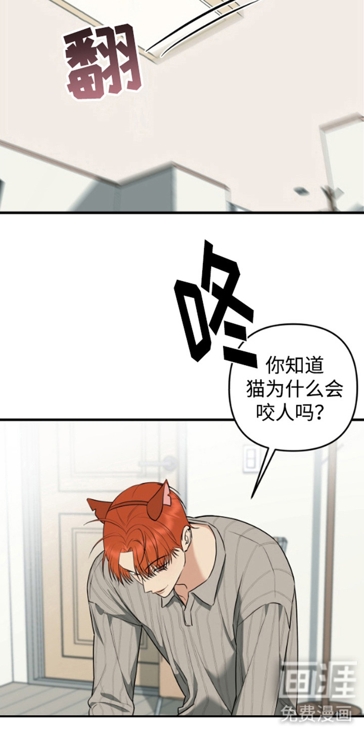 第9话14