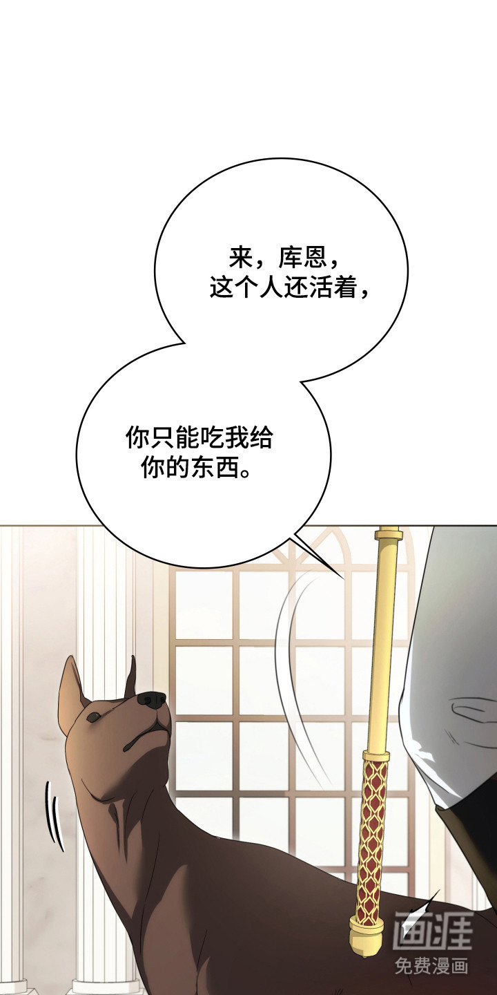 第52话24