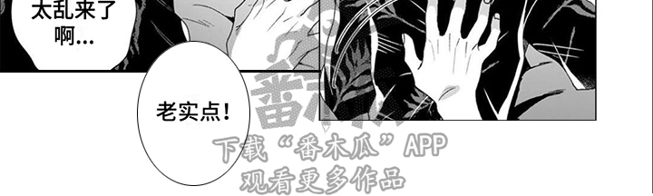第8话11