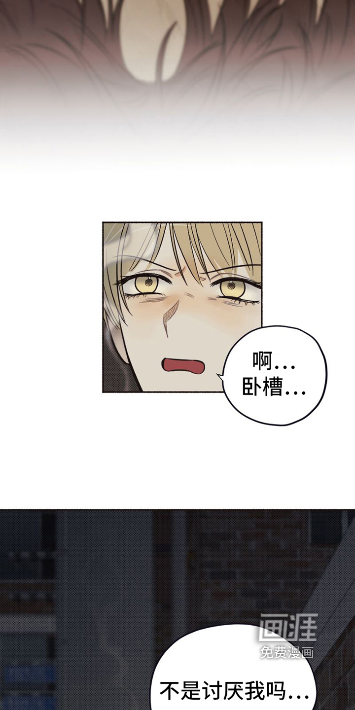 第15话17