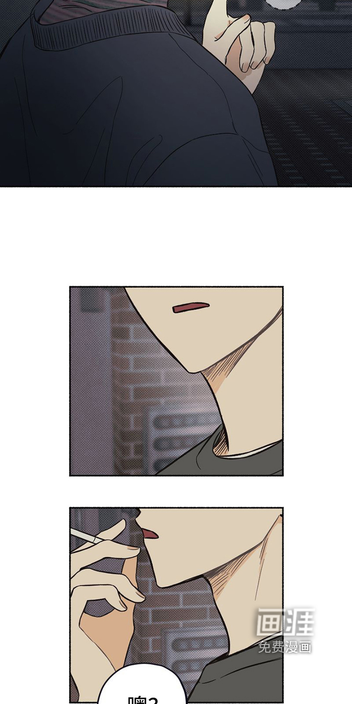 第9话9