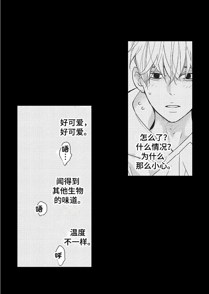第19话10