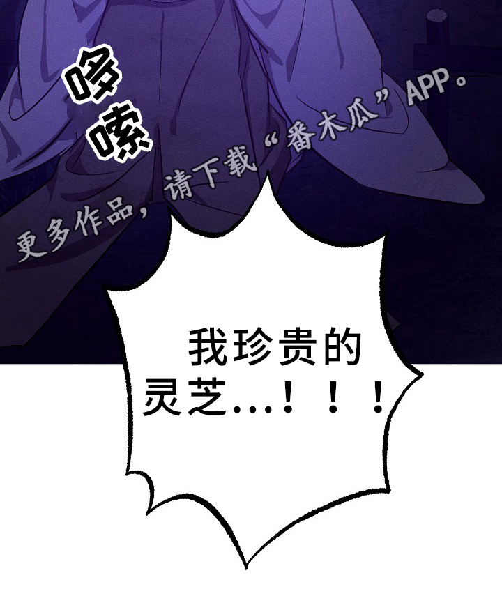 第31话11