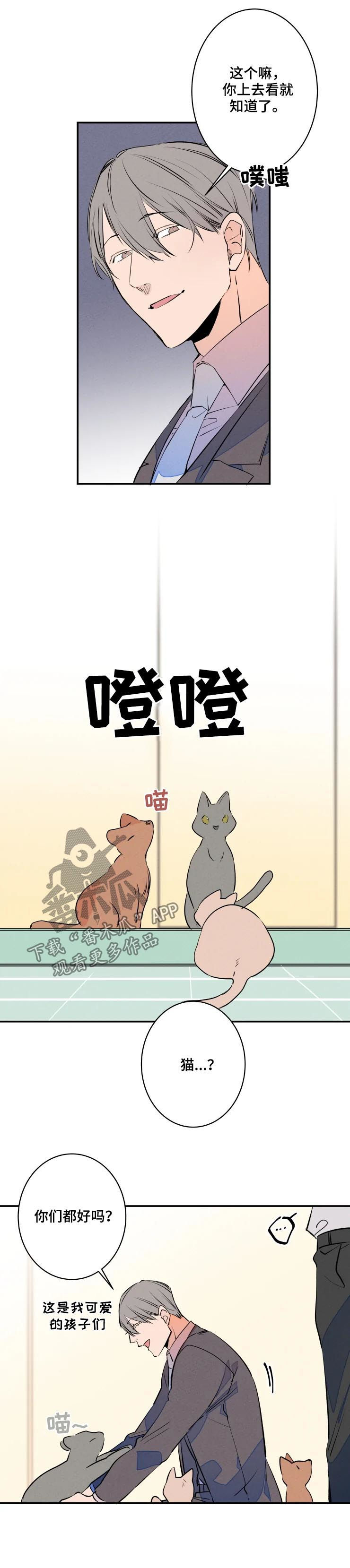 第55话5
