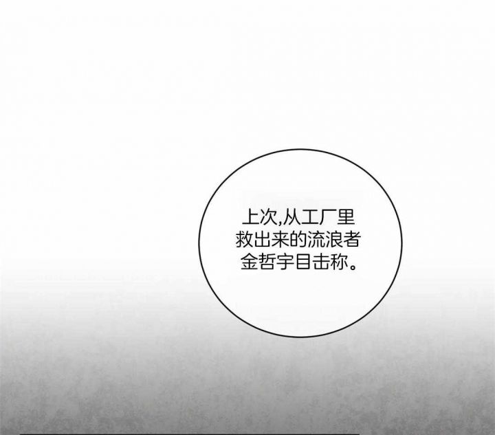 第99话17