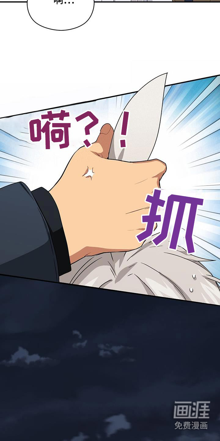 第147话13