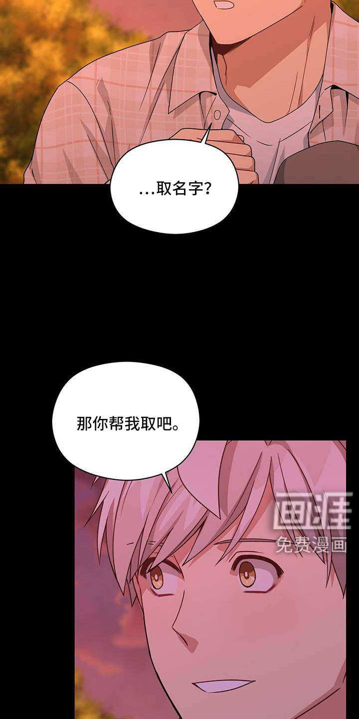 第126话8