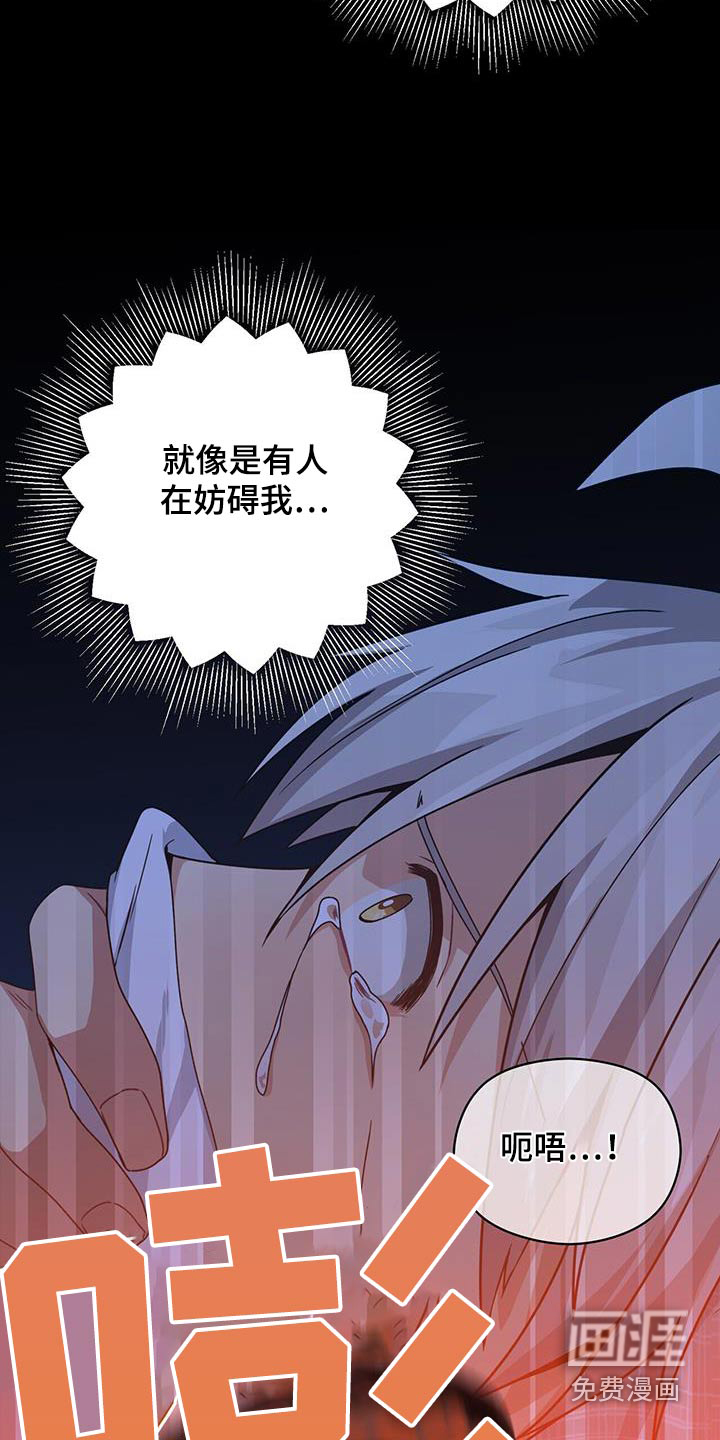 第117话16