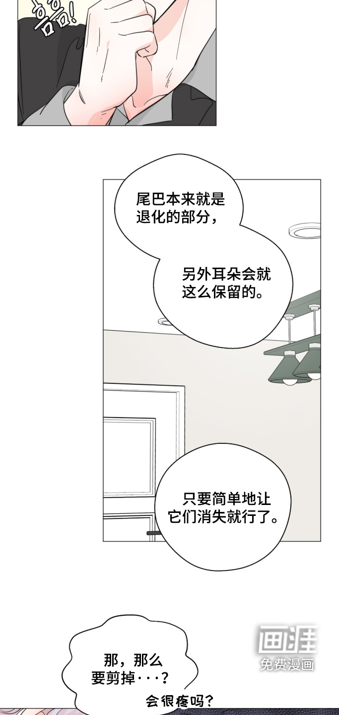第28话11