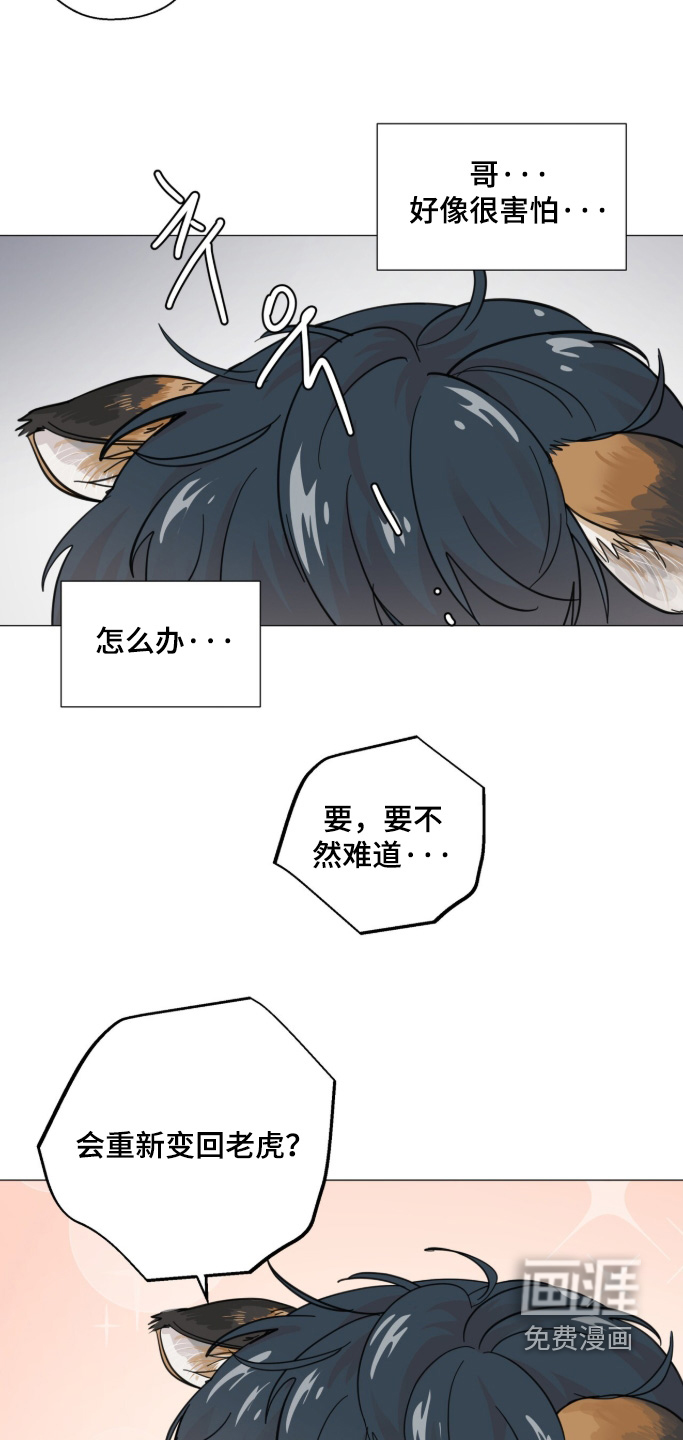 第28话8