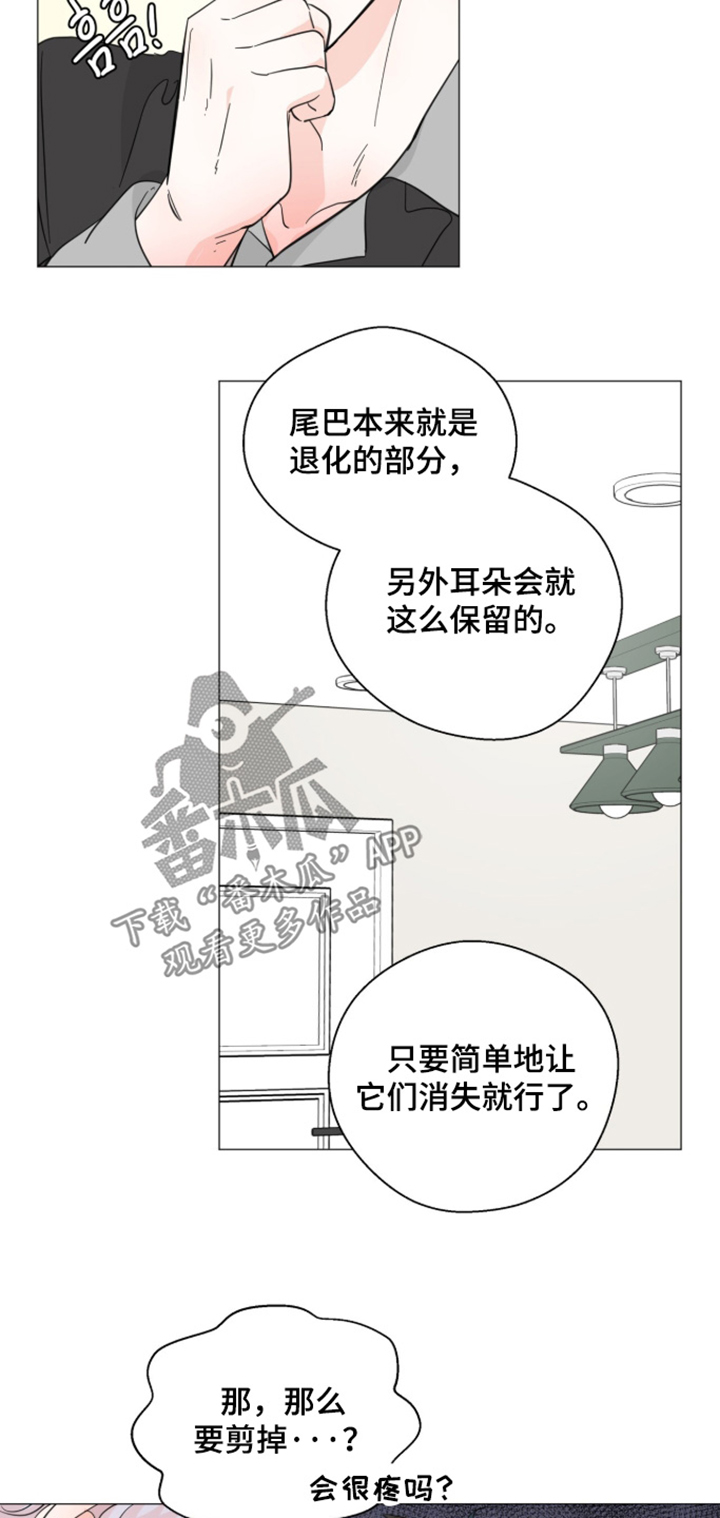 第33话11