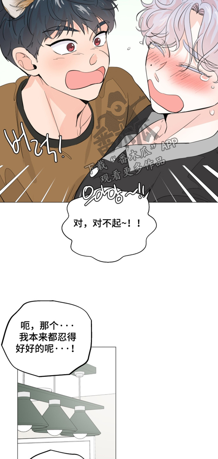 第33话21