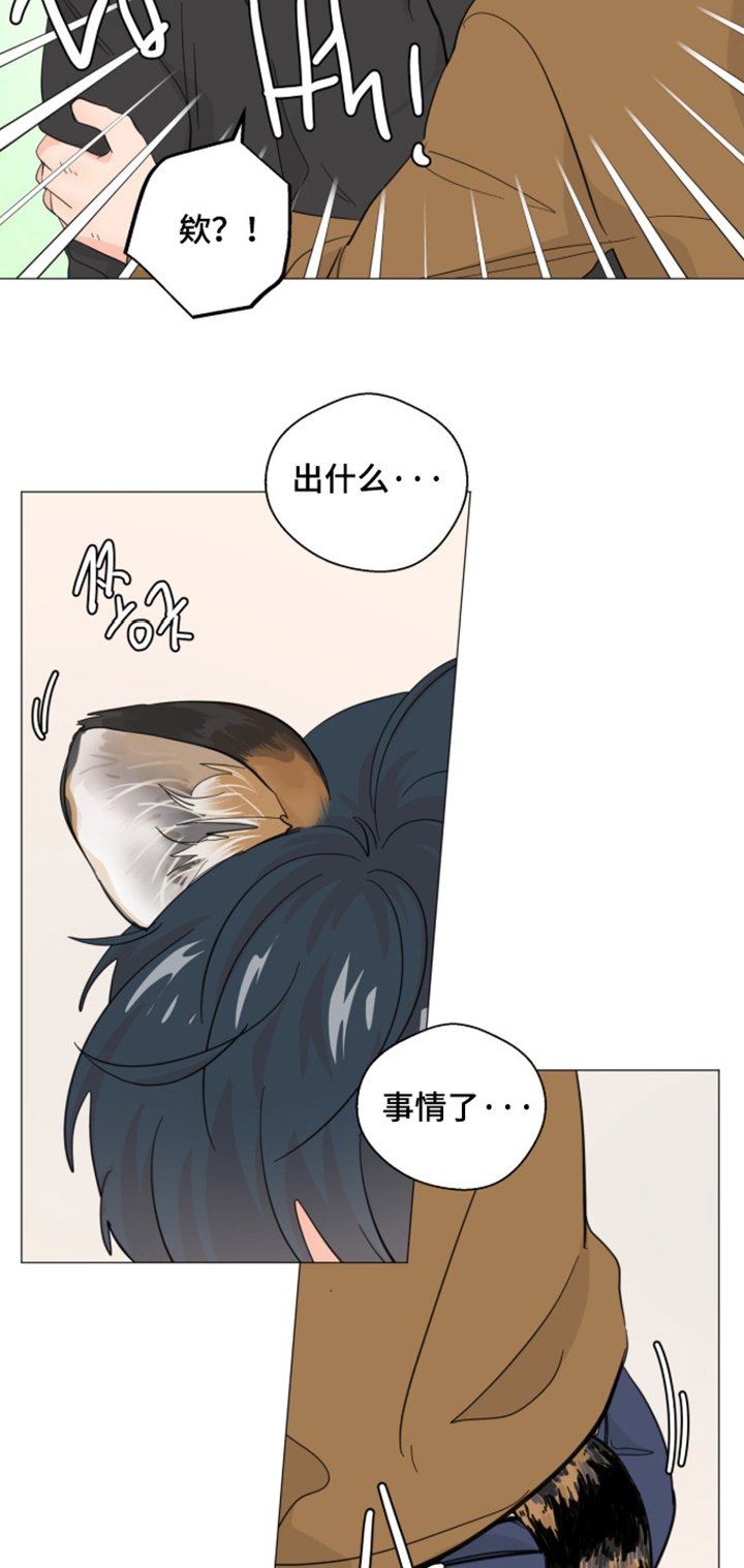 第33话4