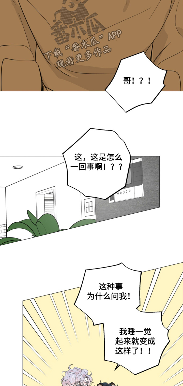 第33话6