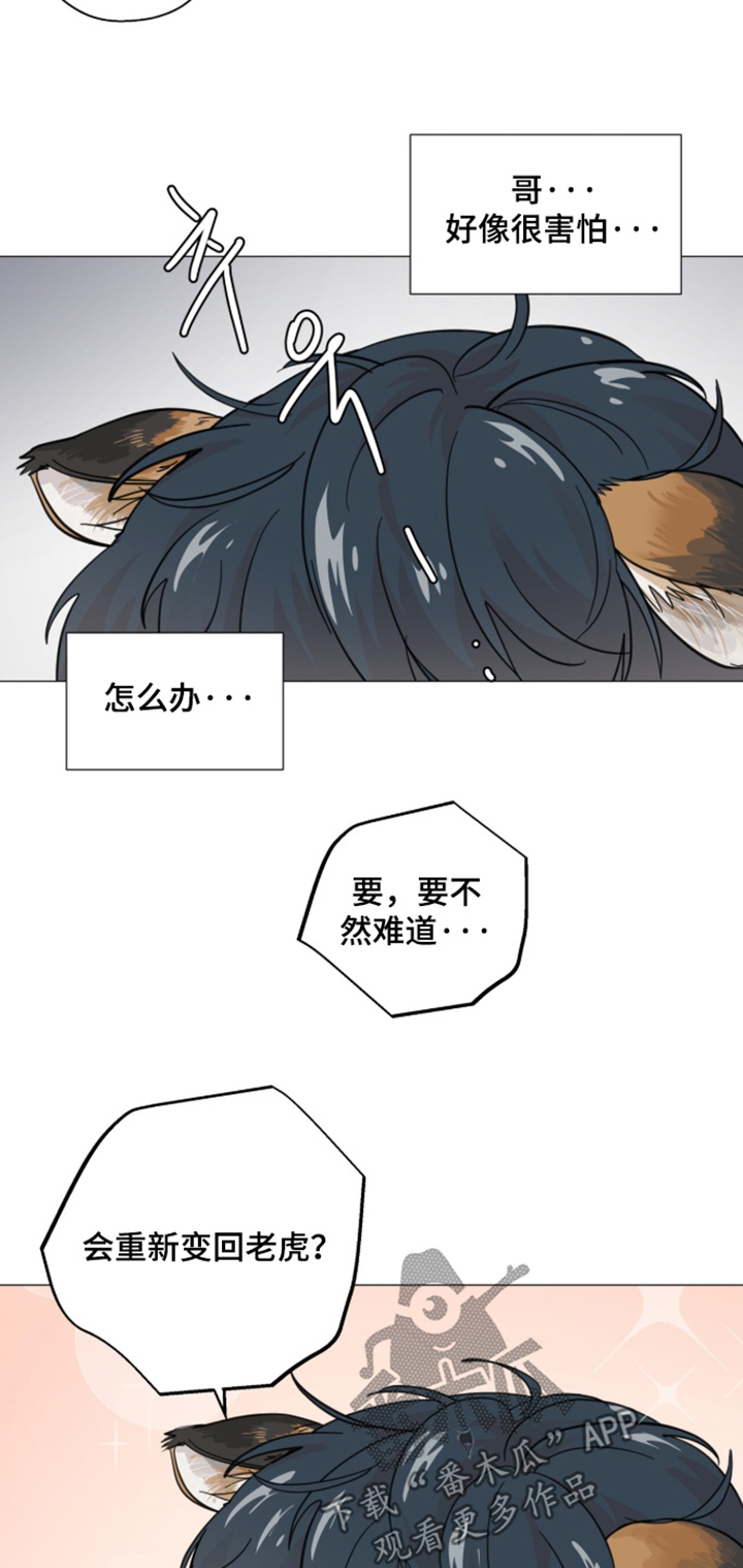 第33话8