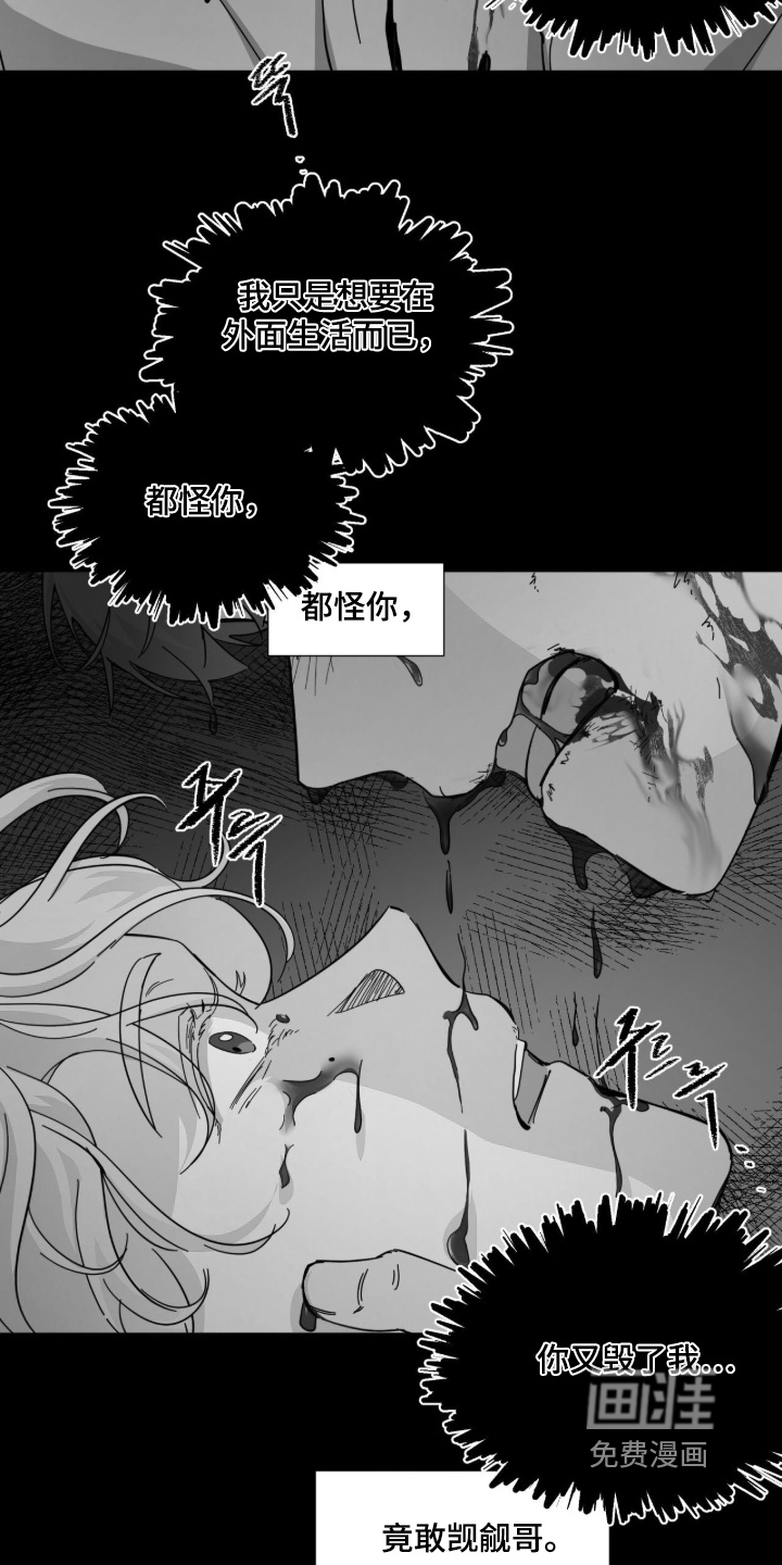 第17话11