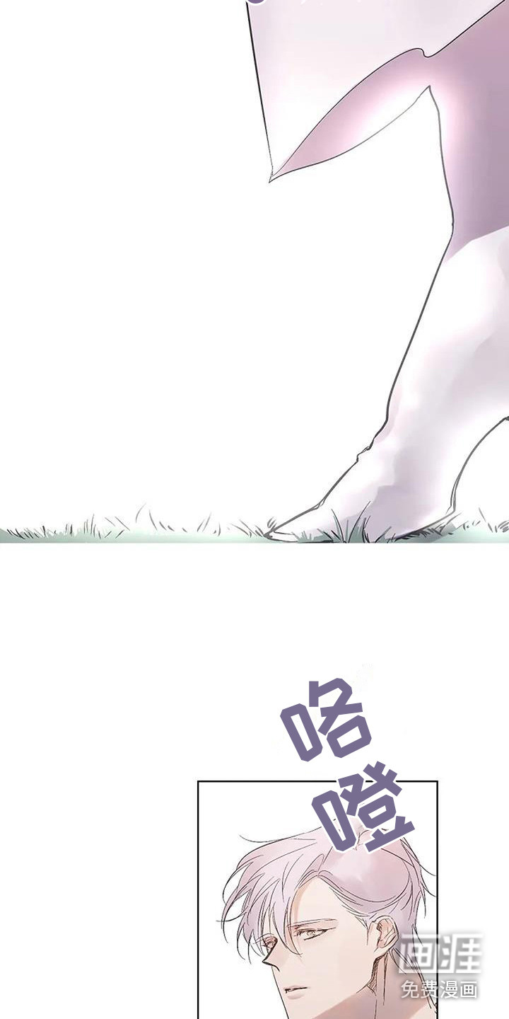 第13话13