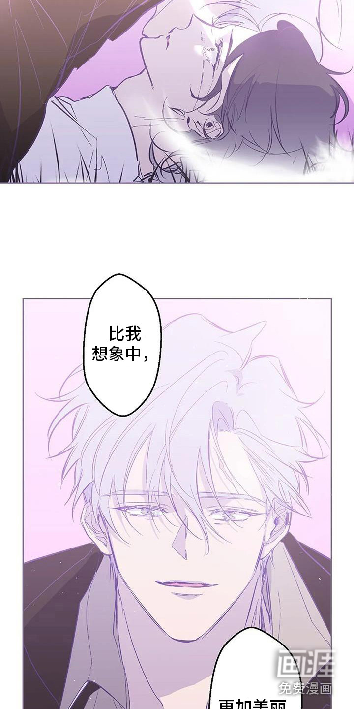 第10话5