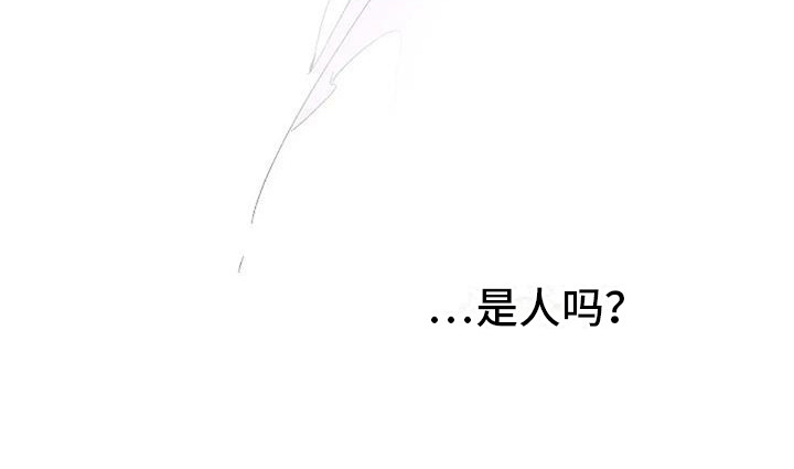 第3话19
