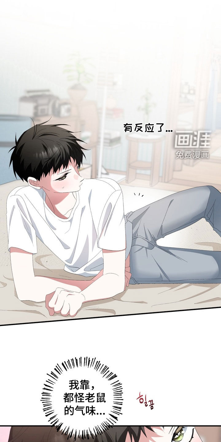 第42话0