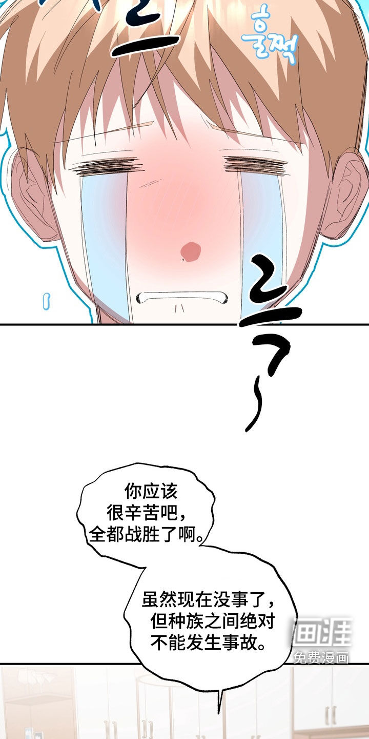 第44话11