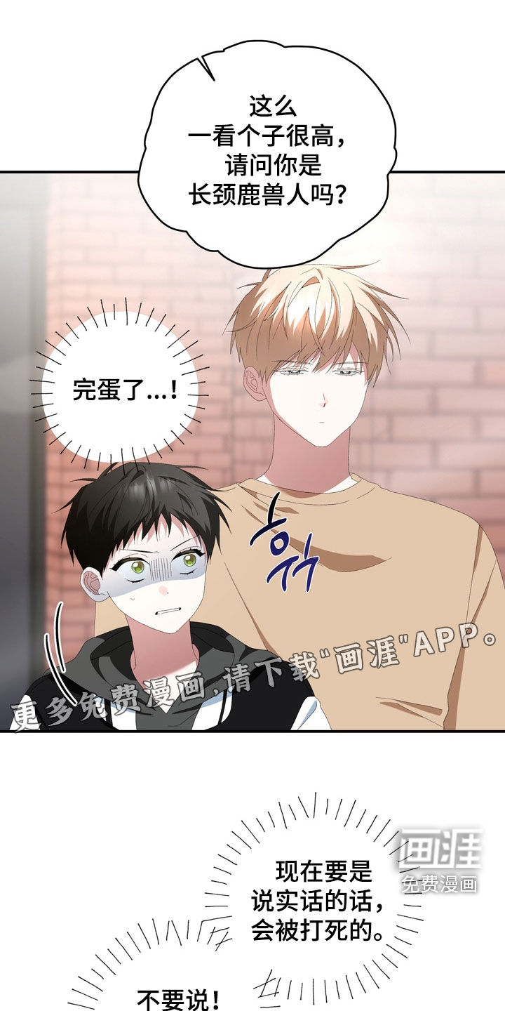 第44话3