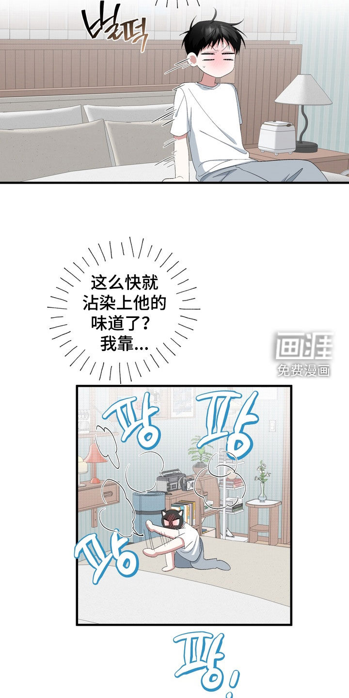 第41话20