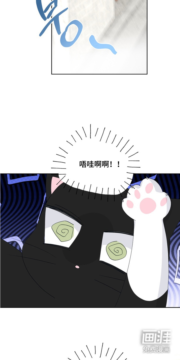 第14话11