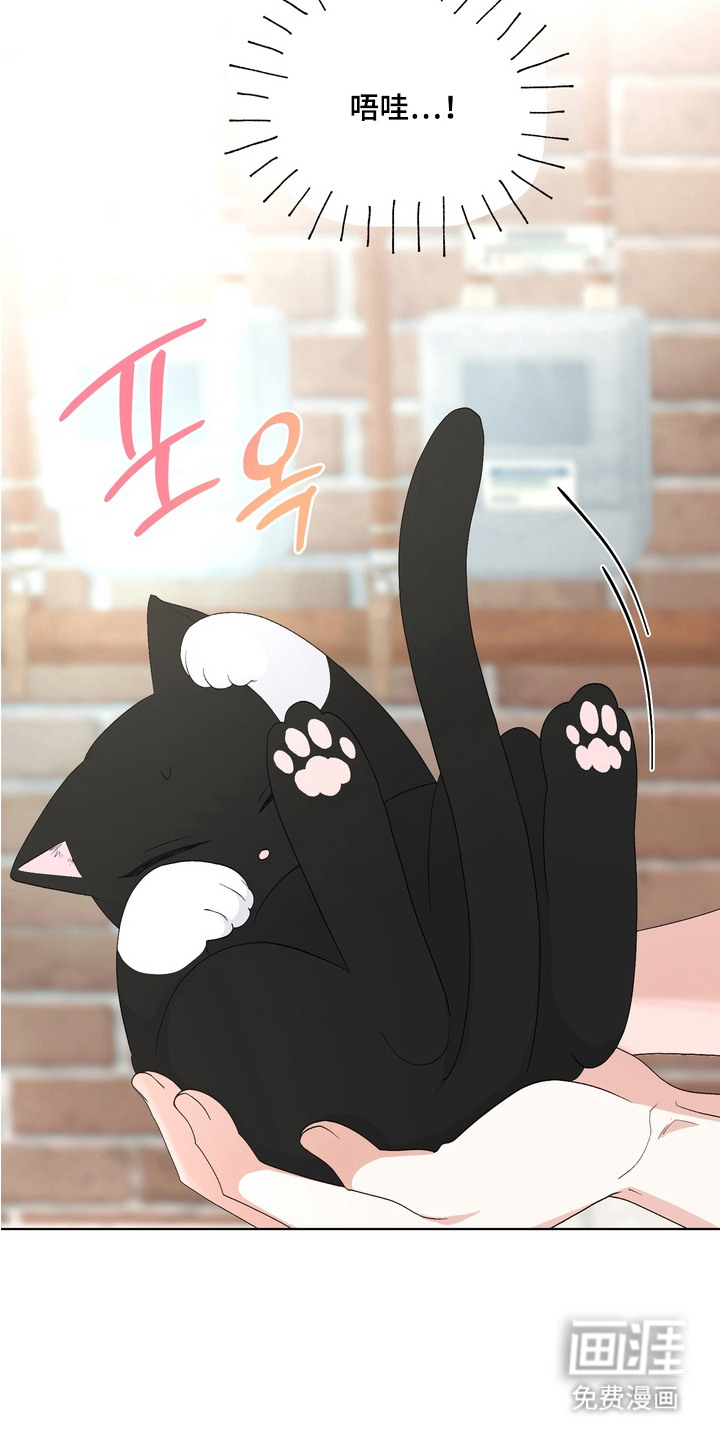 第14话12