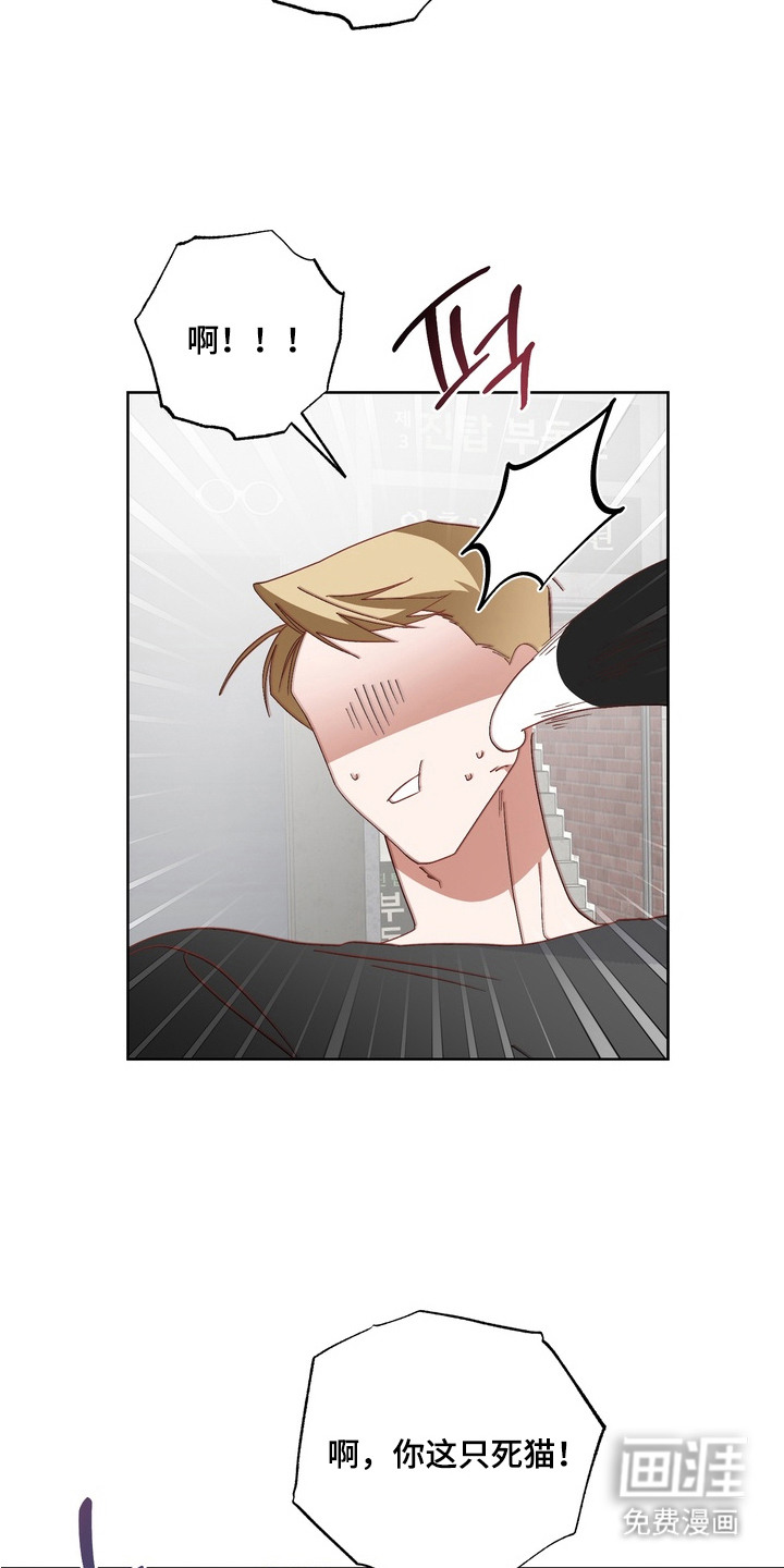 第14话9