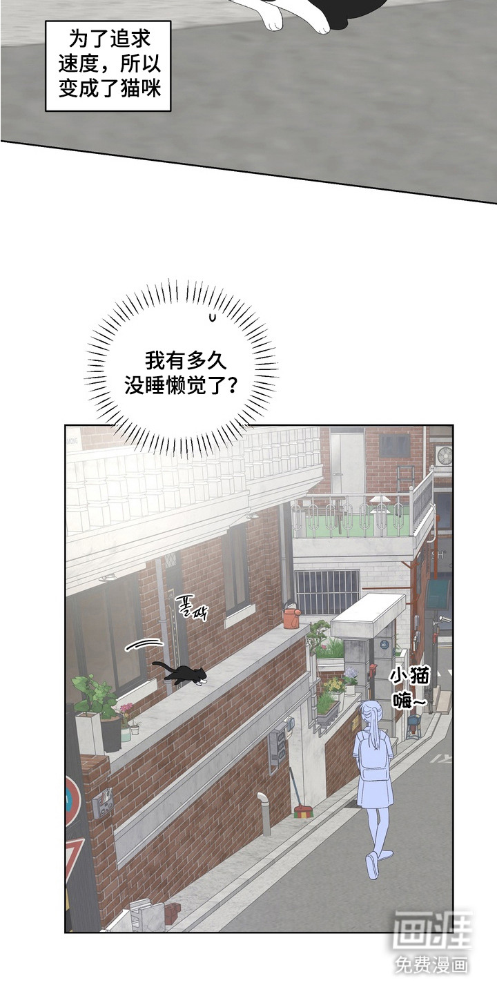 第13话17