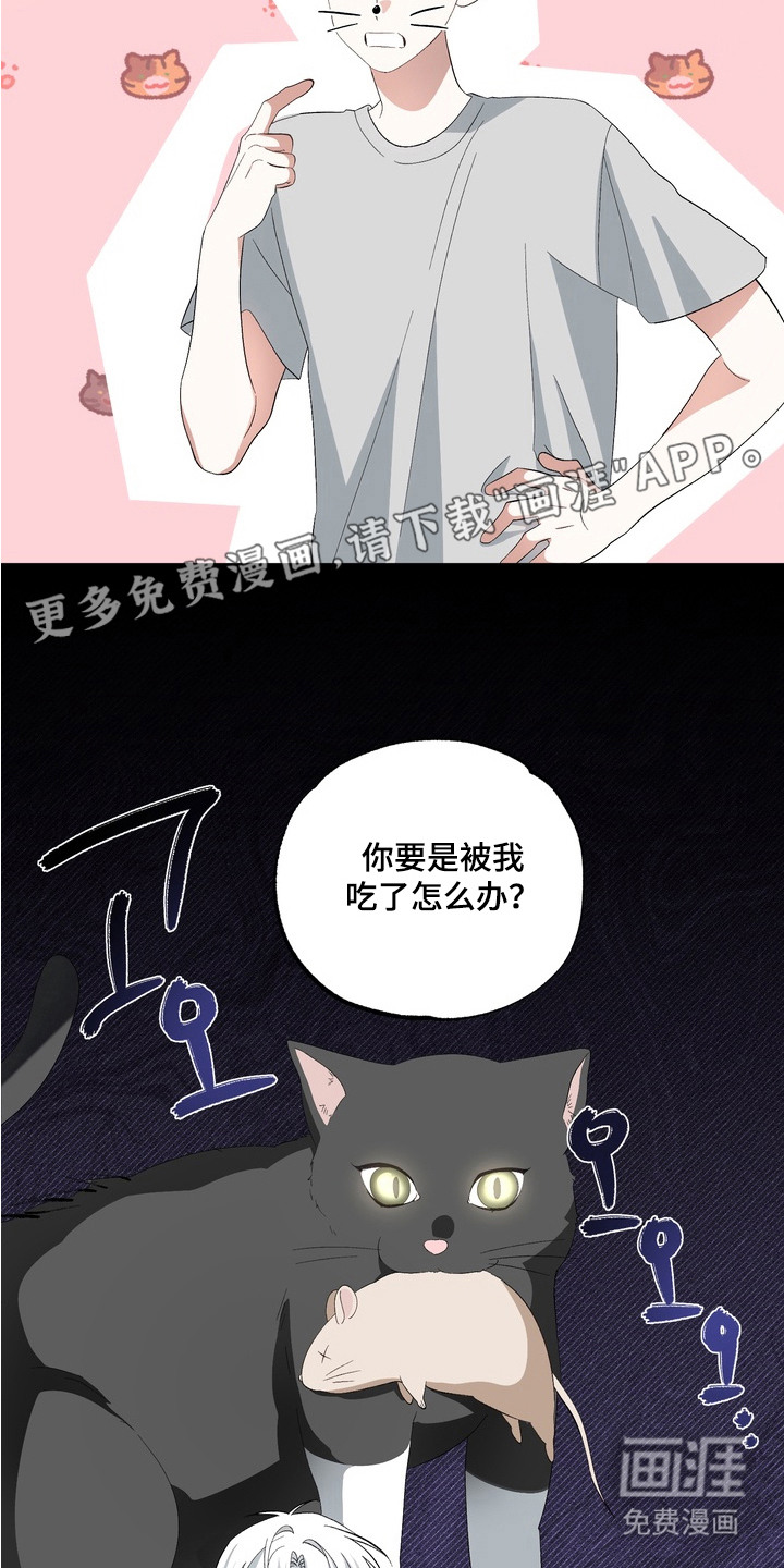 第9话15