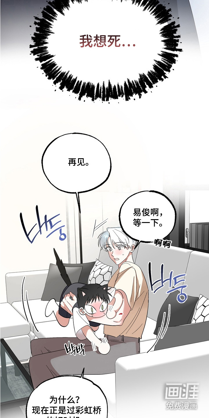 第5话7