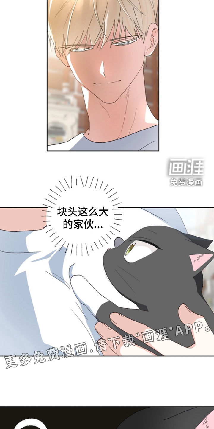 第15话2