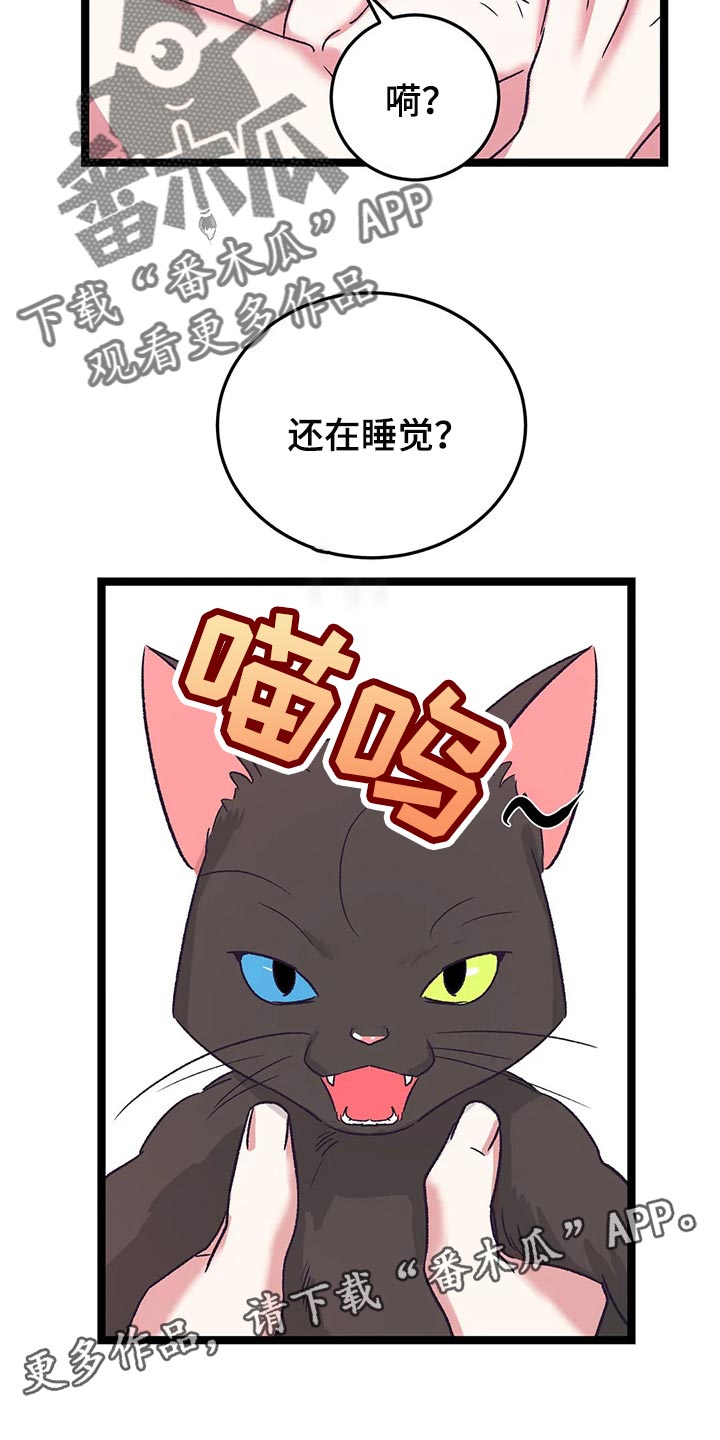 第55话12
