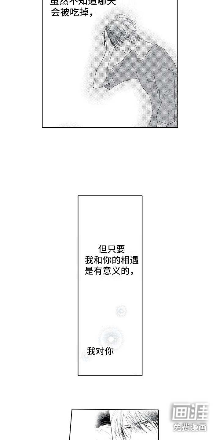 第17话4