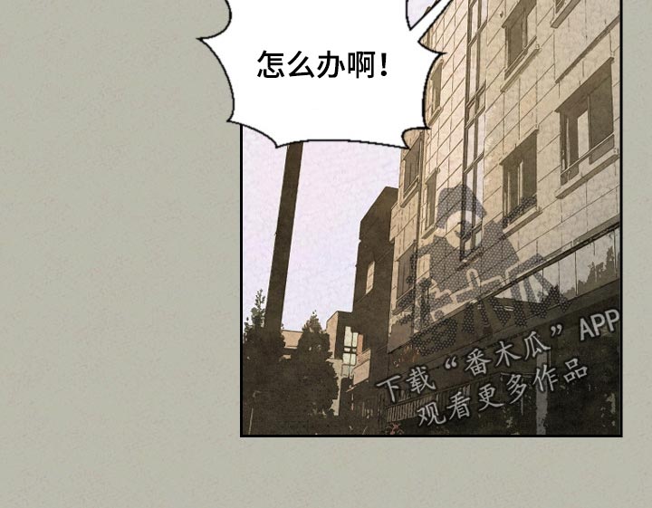 第41话11