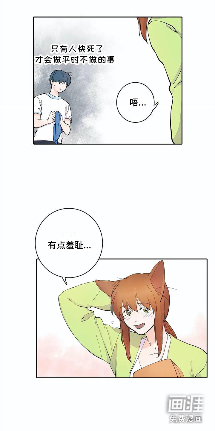 第13话14
