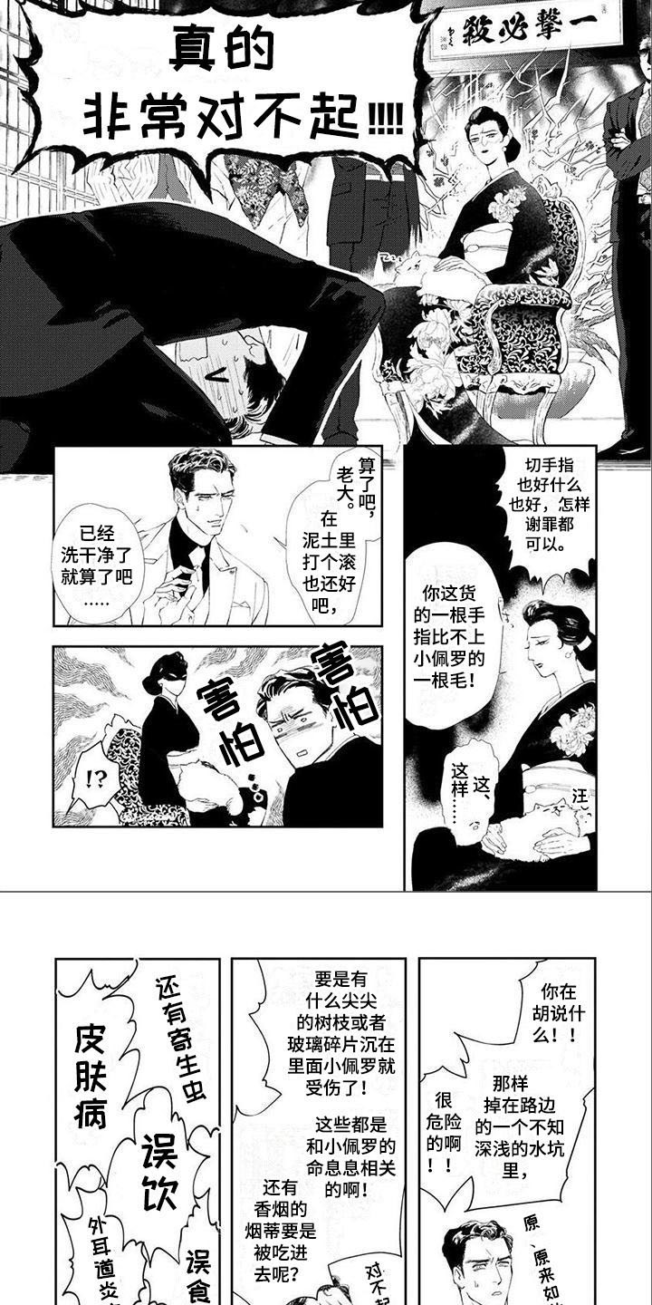 第13话5