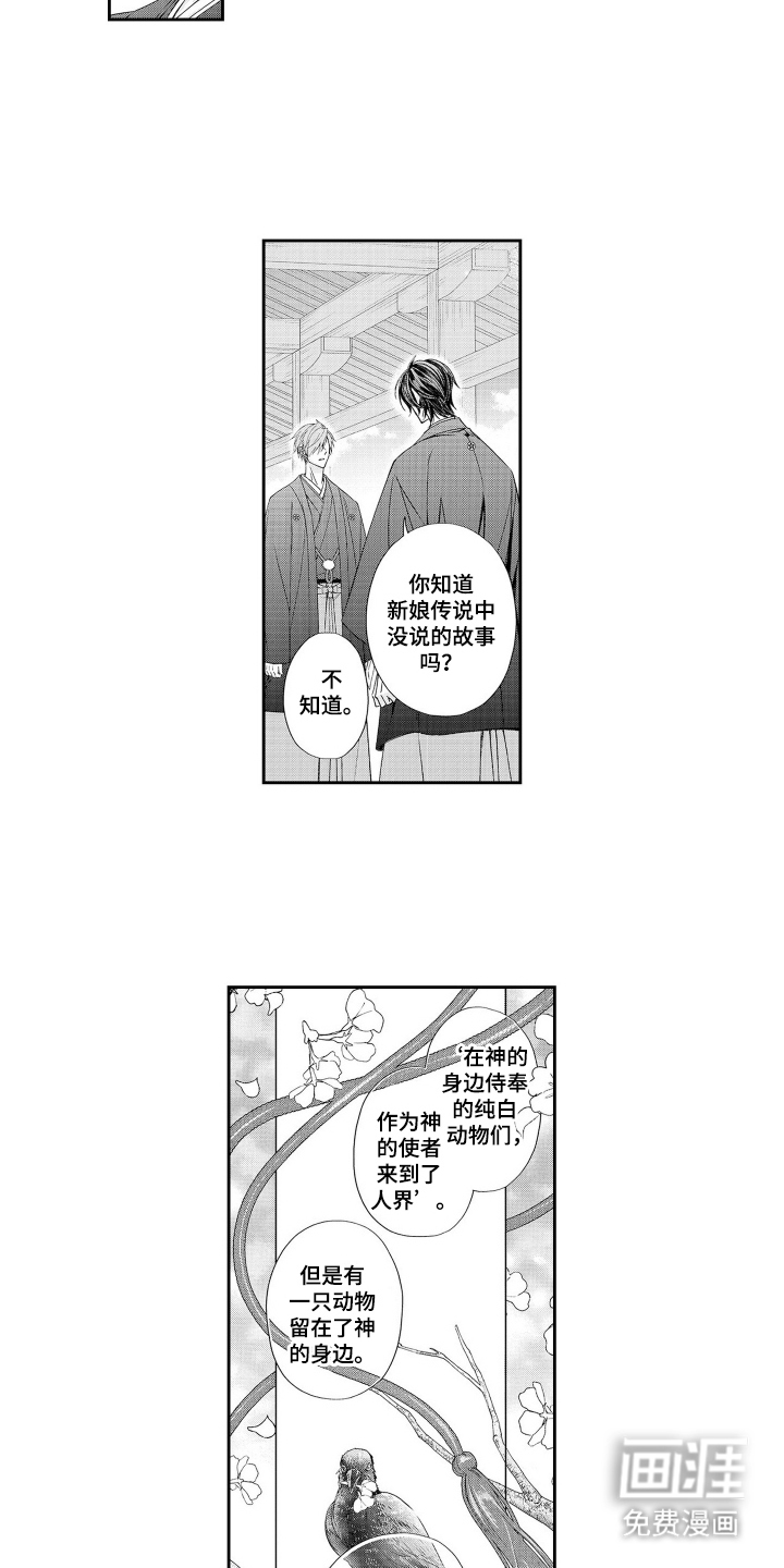 第17话4