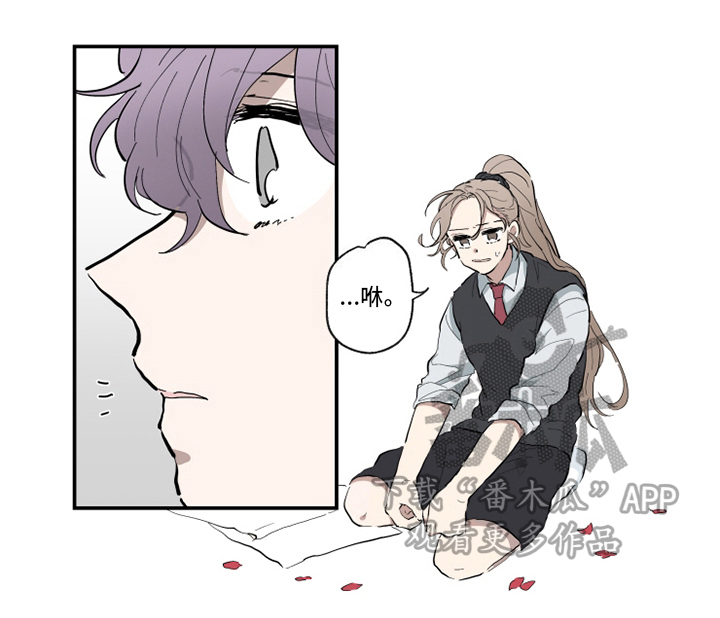 第11话9