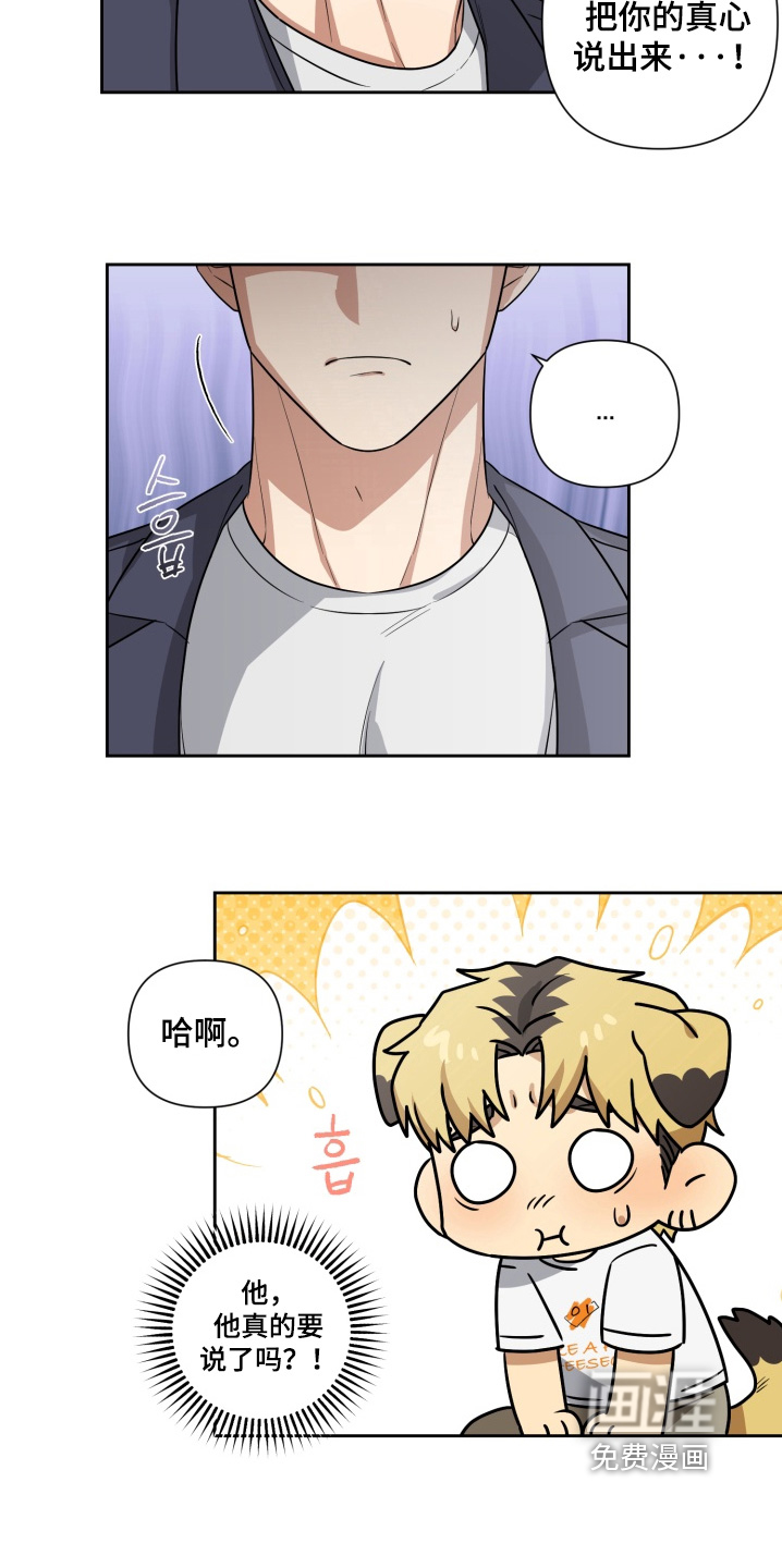 第13话13